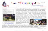 Le Turlupin N°12 - Senlis Bastion