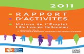RAPPORT D’ACTIVITES - MDE) Lille