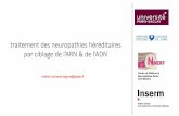 traitement des neuropathies héréditaires par ciblage de l ...
