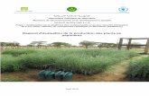 Rapport d’évaluation de la production des plants en pépinières