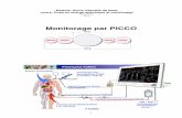 Monitorage hémodynamique PiCCO