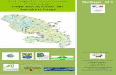 Suivi Temporel des Oiseaux Communs Martinique 2019 STOC ...