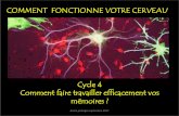 COMMENT FONCTIONNE VOTRE CERVEAU - Sciences cognitives