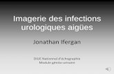 Imagerie des infections urologiques aigües