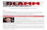 Newsletter du GdR SLAMM - juin 2021
