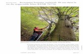 Inventaire forestier national: 30 ans dans la vie du ...