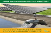 Guide du PomPage solaire pour l’irrigation agricole
