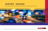DPEF 2020 - berger-levrault.com