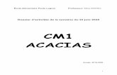 CM1 ACACIAS - bloc-note.ac-reunion.fr