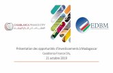 Présentation des opportunités d’investissements à Madagascar