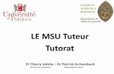 LE MSU Tuteur Tutorat - bv.univ-poitiers.fr