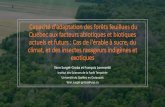 Capacité d'adaptation des forêts feuillues du Québec aux ...