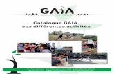 Catalogue GAIA, ses différentes activités