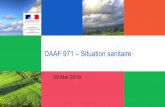 DAAF 971 – Situation sanitaire