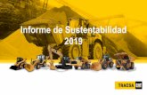 Informe de Sustentabilidad 2019 - apis.tracsa.com.mx