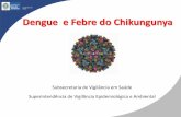 Dengue e Febre do Chikungunya