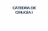 CÁTEDRA DE CIRUGÍA I