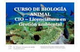 CURSO DE BIOLOGÍA ANIMAL CIO CIO ––Licenciatura en ...