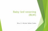 Baby led weaning (BLW)