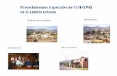 Procedimientos Especiales de COFOPRI en el ámbito urbano