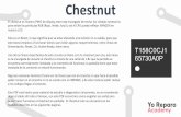 Chestnut - Yo Reparo Academy