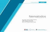 Nematodos - repositorio.inta.gob.ar