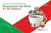 Curso Universitario de Preparación del Nivel A1 de Italiano