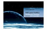 Diapositivas NIIFs Pymes 2 de agosto [Modo de compatibilidad]