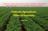 Vietnam Agriculture- Pillar of Economy