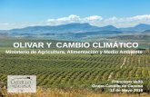 OLIVAR Y CAMBIO CLIMÁTICO - Ministerio de Agricultura ...