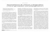 Germoplasma decítricos filogenética (Citrus