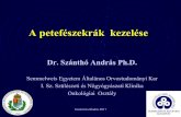 A petefészekrák kezelése - Semmelweis