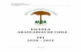 ESCUELA ARAUCARIAS DE CHILE PEI 2020 2021