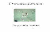8. Nematodiasis pulmonares