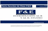 Serie Apuntes de Clase F&E N° 01