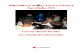 Diagnóstico de Análisis, Vulnerabilidades y Capacidades, AVC.