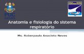 Anatomia e fisiologia do sistema respiratório