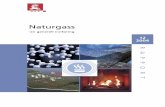 Naturgass - NVE