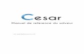 CESAR - Manuel de référence du solveur