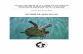 INFORME DE ACTIVIDADES - Latin American Sea Turtles
