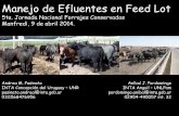Manejo de Efluentes en Feed Lot - produccion animal