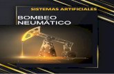 BOMBEO NEUMÁTICO - Gestion integral