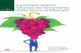 L Cooperazione Vitivinicola Veneziana: S Mercato