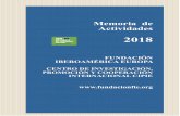 2018 - FUNDACION IBEROAMERICA EUROPA
