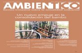 Un nuevo empuje en la consolidación del bambú