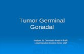 Tumor Germinal Gonadal - ffyb.uba.ar