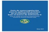 Guía de autorregulación para la aplicación práctica de la ...