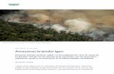 Amazonas brænder igen - mynewsdesk.com