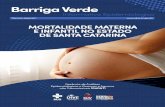 MORTALIDADE MATERNA E INFANTIL NO ESTADO DE SANTA …