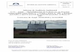 Informe de Auditoría Ambiental Rehabilitación de la Ruta ...